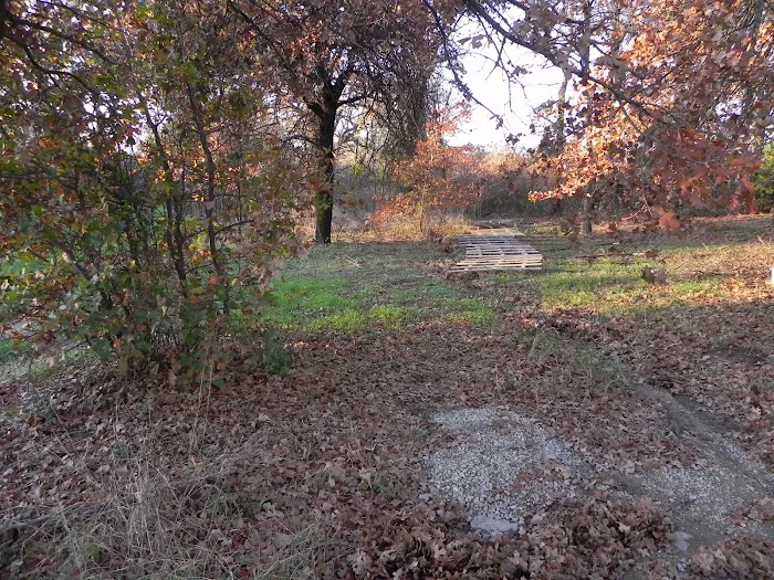 Alvord Oaks RV Park Picture 10