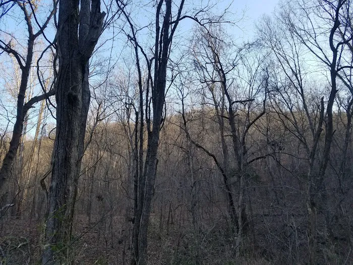 Spring Creek Campground Picture 7