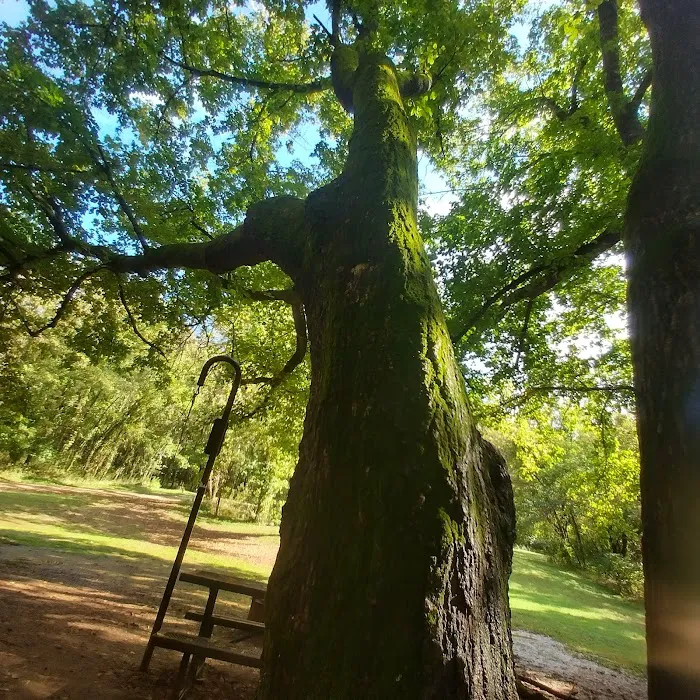 Spring Creek Campground Picture 3