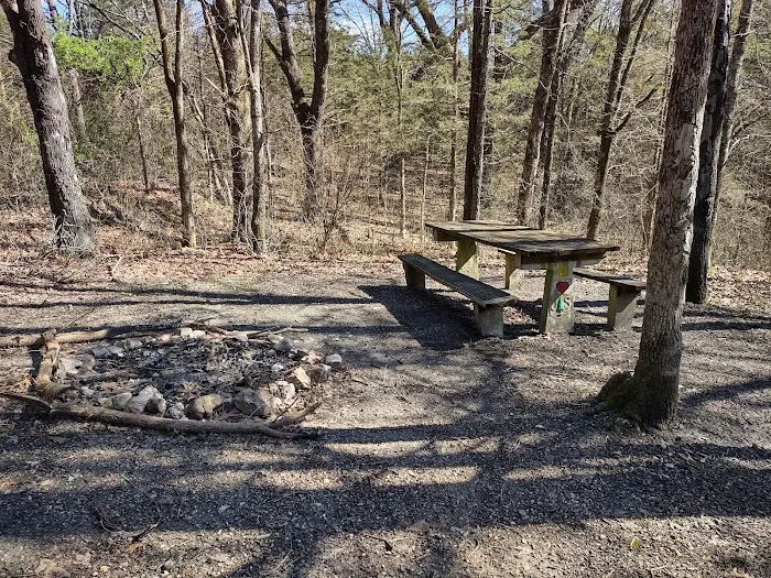 Overhang campsite Picture 3