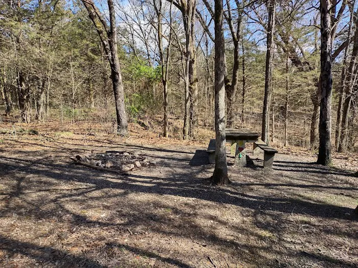 Overhang campsite Picture 6