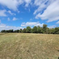 Campbell Rd Eclipse Campgrounds ico