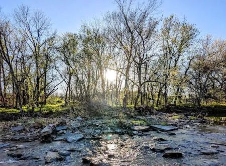 Valley View Glamping and RV Resort