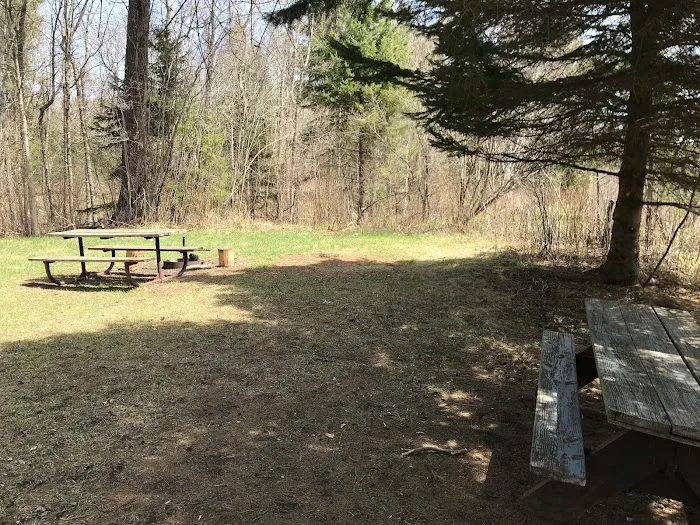 Lost Lake Campsite Picture 5