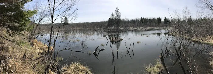 Lost Lake Campsite Picture 2