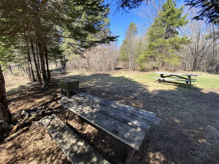Lost Lake Campsite Picture 3