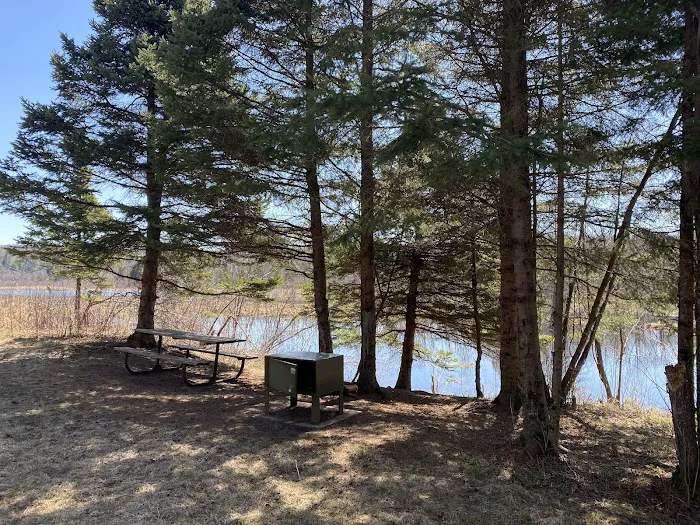 Lost Lake Campsite Picture 10