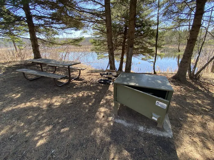 Lost Lake Campsite Picture 4