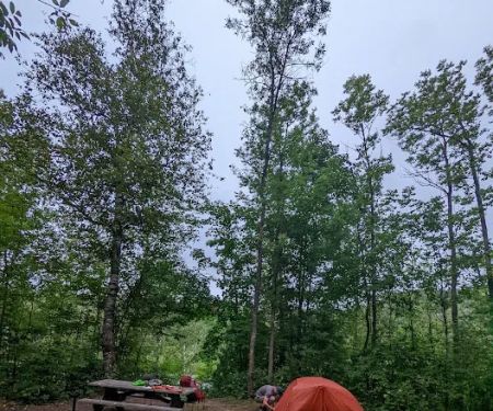 Ash Ridge Camp
