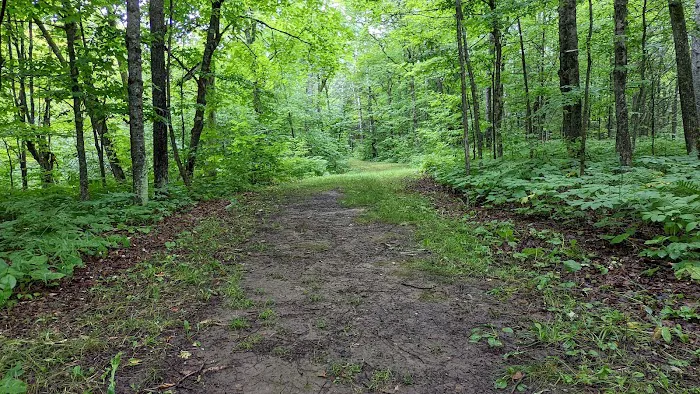 Campground Jay Cooke State Park Picture 8