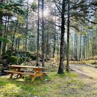 Knife Island Campground ico