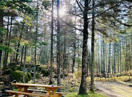 Knife Island Campground