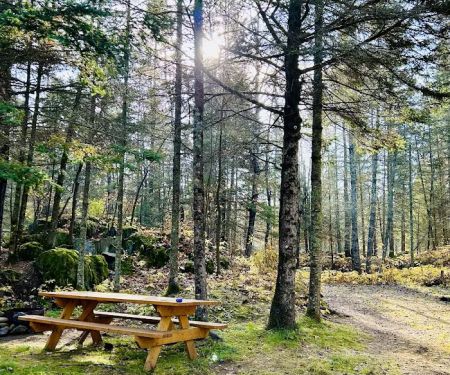 Knife Island Campground