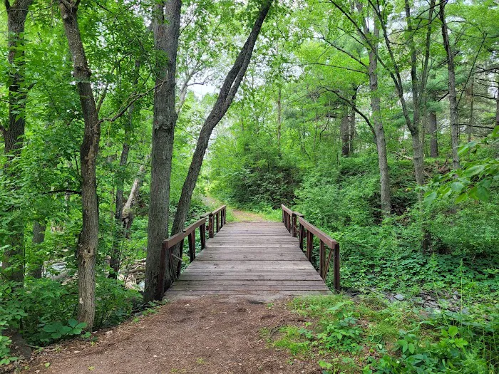 Knife Island Campground Picture 3
