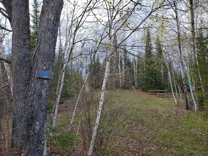 Lone Tree Camp Picture 4