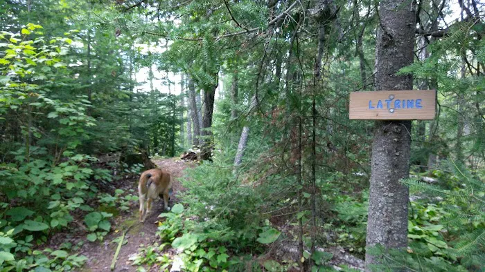Lone Tree Camp Picture 10