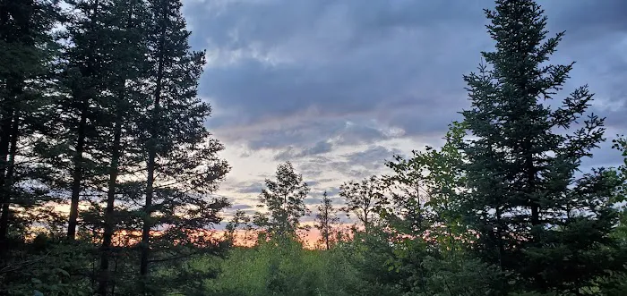Lone Tree Camp Picture 6