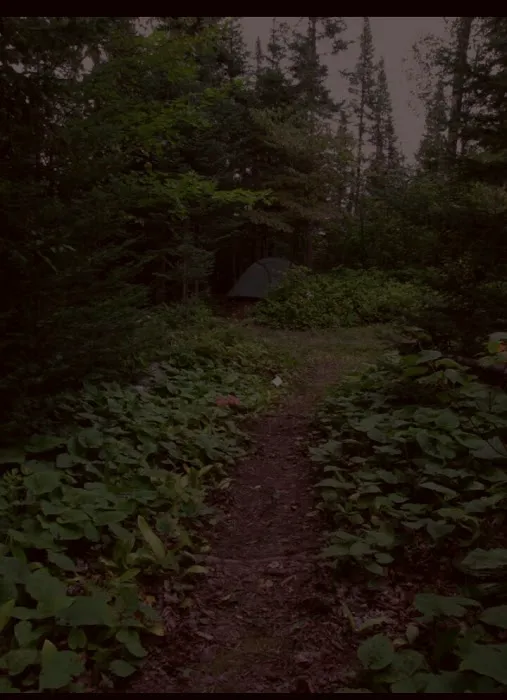 Lone Tree Camp Picture 1