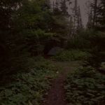 Lone Tree Camp