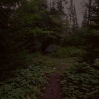 Lone Tree Camp ico