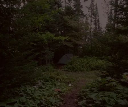 Lone Tree Camp