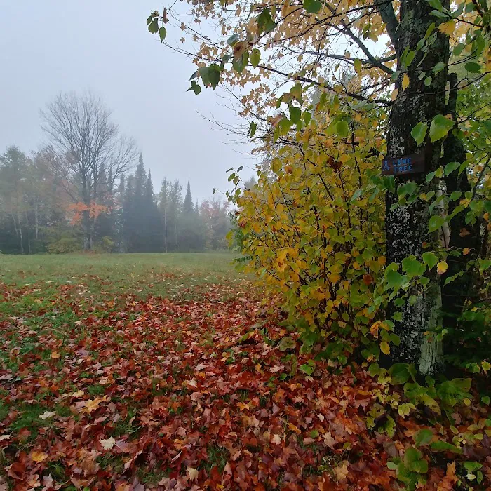 Lone Tree Camp Picture 8