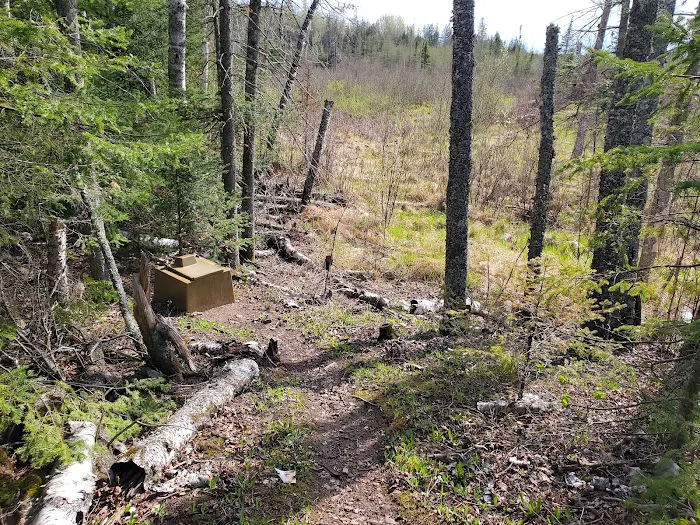 Lone Tree Camp Picture 3