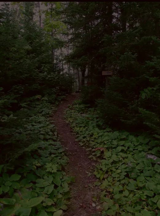 Lone Tree Camp Picture 5