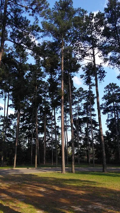 Whispering Pines RV Park & Lodging Picture 10