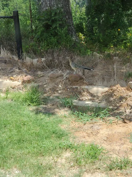 Lookout Mountain RV Park Picture 8