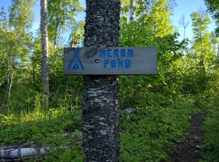 Heron Pond Camp Picture 3