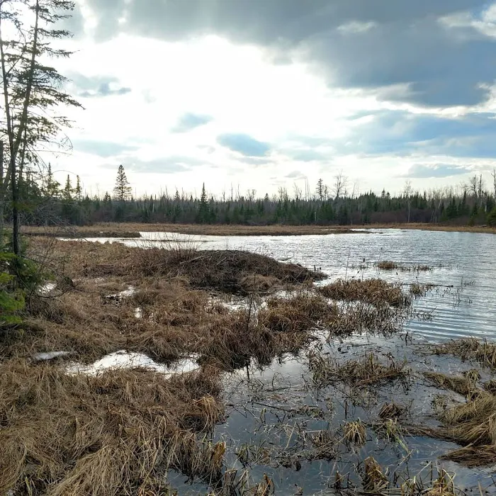 Heron Pond Camp Picture 5