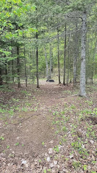 Island lake campsite Picture 3