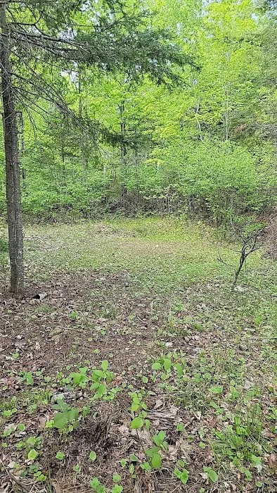 Island lake campsite Picture 4