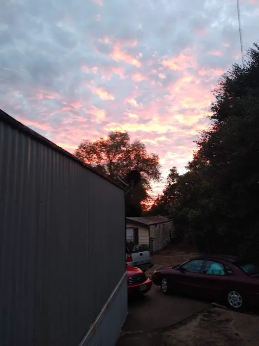 Regency Mobile Home & RV Park Picture 6