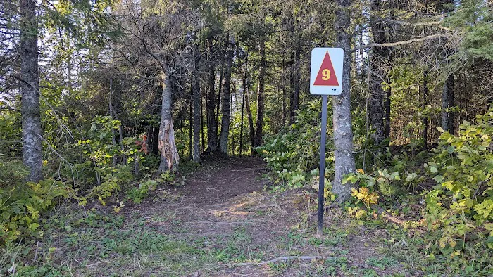 Island Lake Campsite #9 Picture 3