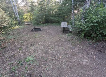 Island Lake Campsite #9
