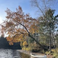 Island Lake Campsite #5 ico