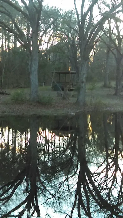 Land of Ease Senior Tiny Home Community Picture 3