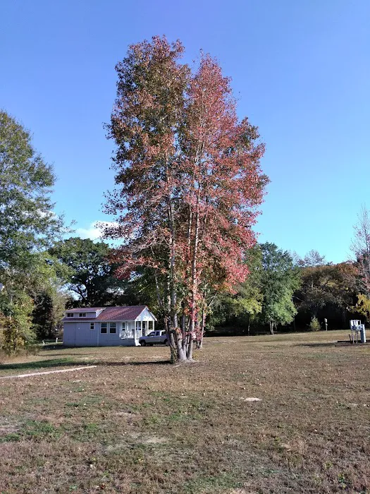 Land of Ease Senior Tiny Home Community Picture 7
