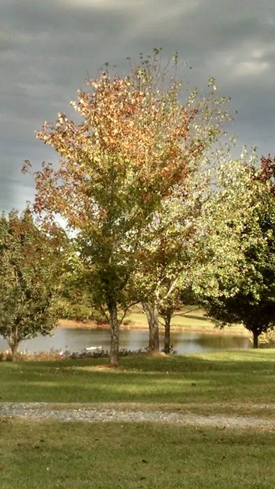 Mullins RV Park Picture 8