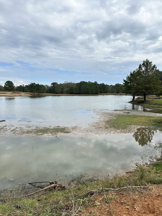 Mullins RV Park Picture 7