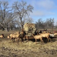 Botna Bend Park ico