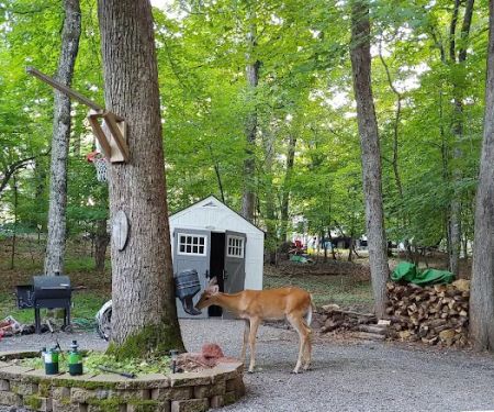 Clearwater Forest Resort Community