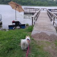 A J Acres Campground ico