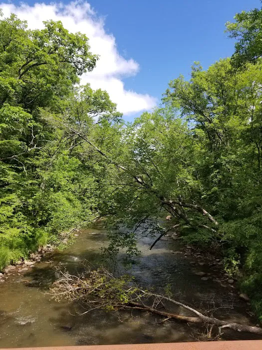St. Croix Campground Picture 2
