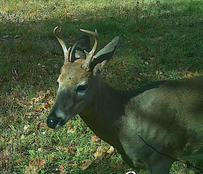 Crooked Creek Outpost, LLC Picture 1