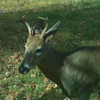 Crooked Creek Outpost, LLC ico