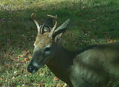 Crooked Creek Outpost, LLC