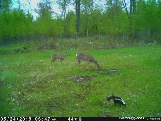 Crooked Creek Outpost, LLC Picture 2